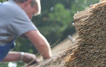 professional Cellarhill thatchers